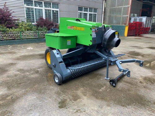 飼料成本占養殖70%？節本增效的實用策略