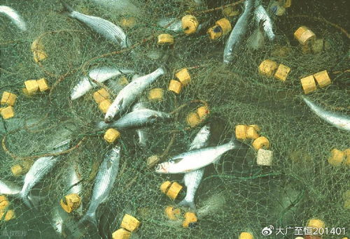 AquaTech 2026 馬來(lái)西亞漁業(yè)展覽會(huì) 領(lǐng)航漁業(yè)新紀(jì)元，驅(qū)動(dòng)畜牧漁業(yè)飼料銷(xiāo)售創(chuàng)新