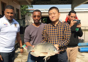 2019年海上絲綢之路國(guó)家水生動(dòng)物健康管理及檢驗(yàn)檢疫研修班項(xiàng)目圓滿落幕，成果豐碩助力畜牧漁業(yè)飼料銷(xiāo)售市場(chǎng)拓展